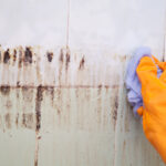 Sodium Hypochlorite / Liquid Bleach 15%