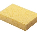 Raven Bailer Sailor Sponge